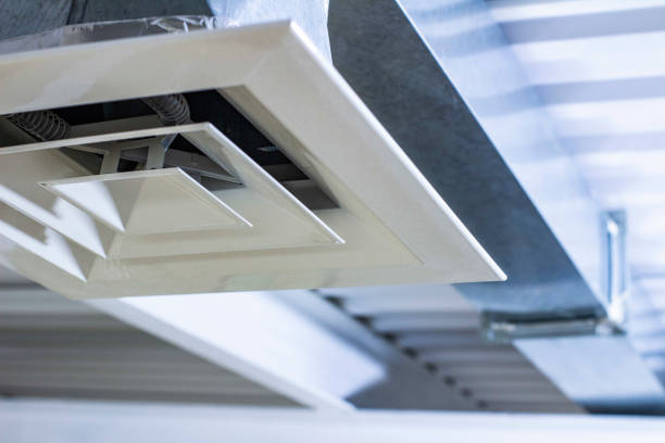 Best Home Air Vent Cleaning  in Oquawka, IL