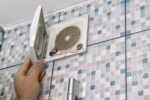 Best Ductwork Cleaning Services  in Oquawka, IL