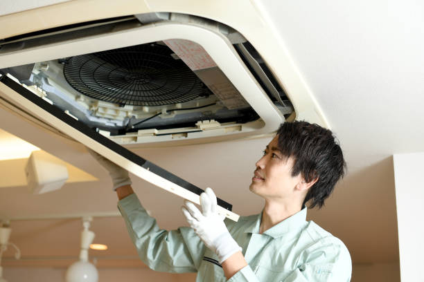 Best HVAC Maintenance and Cleaning  in Oquawka, IL