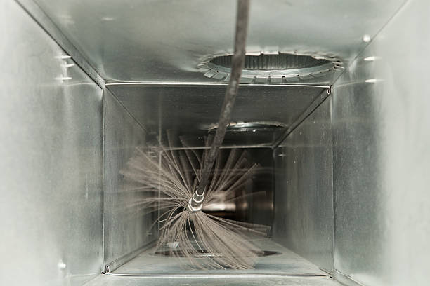 Best Air Vent Cleaning Services  in Oquawka, IL
