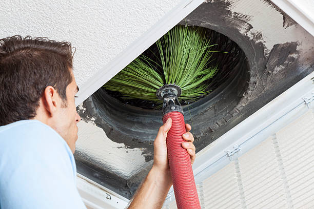Best Air Duct Cleaning Near Me  in Oquawka, IL