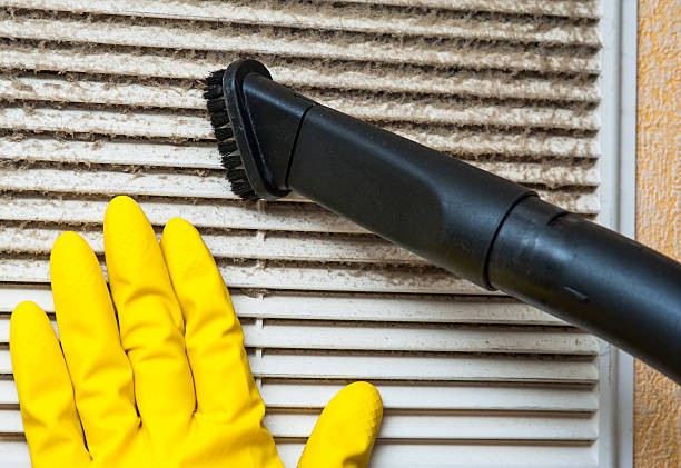 Best Affordable Duct Cleaning Services  in Oquawka, IL