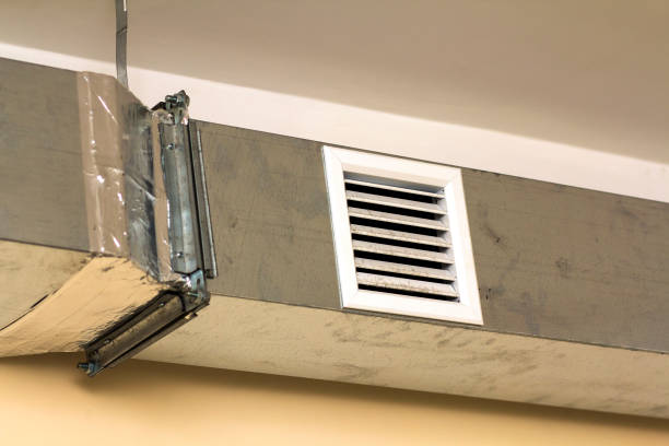 Best Affordable Duct Cleaning Services  in Oquawka, IL